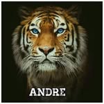 Cervantes Andres Tigre - @andylongoria - Instagram