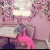 Andy Luke - Facebook