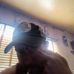 Andy Lund - Facebook
