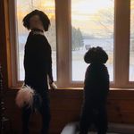 Andy MacGregor - @bentleybuddymickey - Instagram