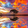 andymacgregor680 - @andymacgregor680 - TikTok