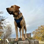 Andy Mackay - @andy.mackay.391 - Instagram
