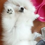 김대건 - @_andy_madison_ - Instagram
