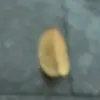 Andrew Maguire - @andrew.maguire8 - TikTok