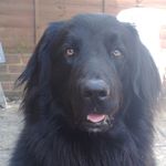 Andy Maguire - @andymaguire1368 - Instagram