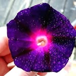 Andy - @_andy_main_ - Instagram