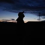 Andy Manning - @random.hero_82 - Instagram