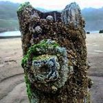 Andy Manning - @andymanningpix - Instagram