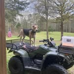 Andy Massey - @andym1971uk - Instagram