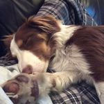 Andy Maynard - @andy.maynard.52 - Instagram