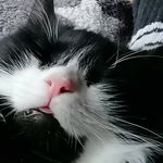 Andreas Mazur - @andy.mazur - Instagram