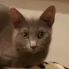 andy - @andy.mazurek - TikTok