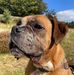 Andrew Mcatee - Facebook