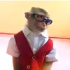 Andy mccormick - @andymccormick7 - TikTok