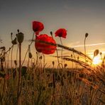 Andrew McDonough - Facebook