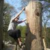 Andy McDonough - @andy.mcdonough - TikTok