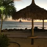 Andy Mcdougall - @afm4113 - Instagram