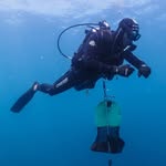 Andrew McGuckin - @thegukdiver - Instagram