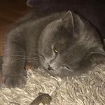 Andy Mcintosh - @totalinstallation - Instagram
