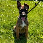 Andy McIntosh - @89andyroo - Instagram