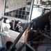 Andy McIntosh motorsport - Facebook