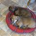 Andy Mclain - Facebook