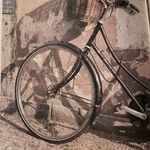 Andy McNicol - @spoke.content - Instagram