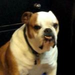 andy mcpherson - @spd1361 - Instagram