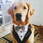 Andy Meadows - @andy.meadows.710 - Instagram