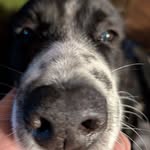 Andy Melton - @andy.melton.562 - Instagram