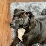 Andy Mercer - @andywm81 - Instagram