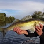 Andy Mercer - @andy.mercer19 - Instagram