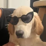 @_andymerritt - Instagram