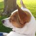 Andy Merritt - Facebook