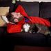Andy Mertens - Facebook