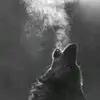 andy_metz - @andy_metz - TikTok