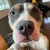 andymetz701 - @andymetz701 - TikTok