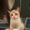 andymichael_ - @andymichael_ - TikTok