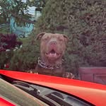 Andy Miguel - @da_fo0 - Instagram