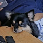 Andy Millar - @casinman1 - Instagram