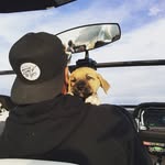 Andy M - @andymilovanovic - Instagram
