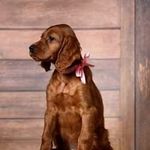 Andy Mink - @andy.mink.946 - Instagram