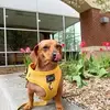 Andy Mitchell - @andy.mitchell192 - TikTok