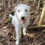 Andy Moffat - @zigford_ziggington - Instagram