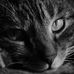 Andrew Moffett - Facebook