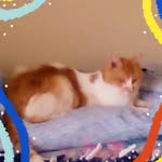 Andy Moffett - @sirlilbit - Instagram