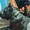 andymohammed - @andymohammed38 - TikTok