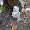 user4607346351177 - @andymohr79 - TikTok