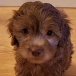 Andy Monroe 🐾 - @andymonroe - Instagram