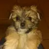 Andy Montano587 - @andymontano587 - TikTok